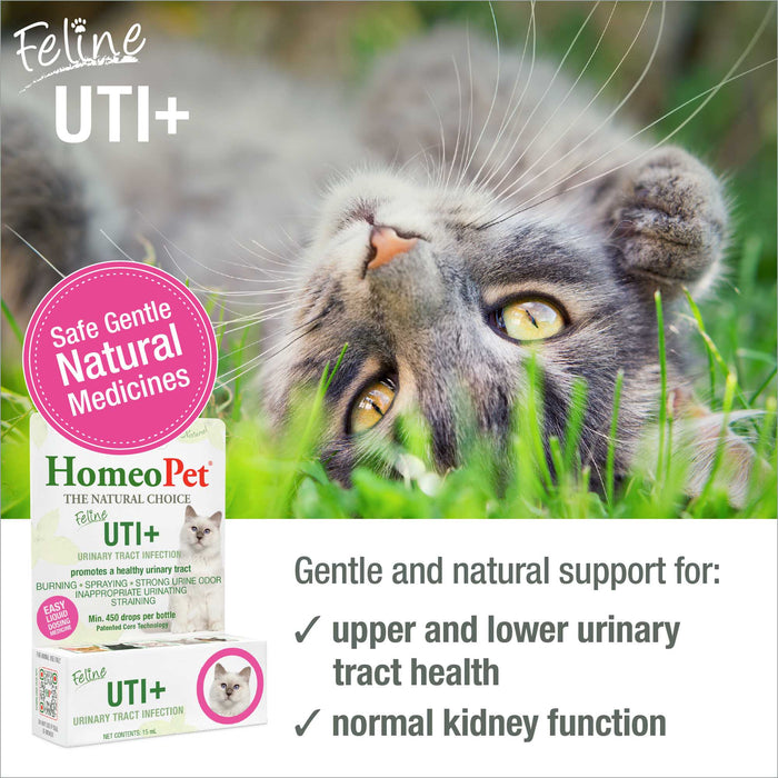 FELINE UTI+