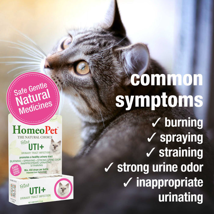 FELINE UTI+