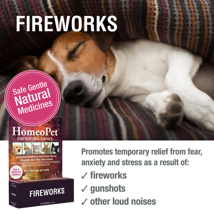 FIREWORKS
