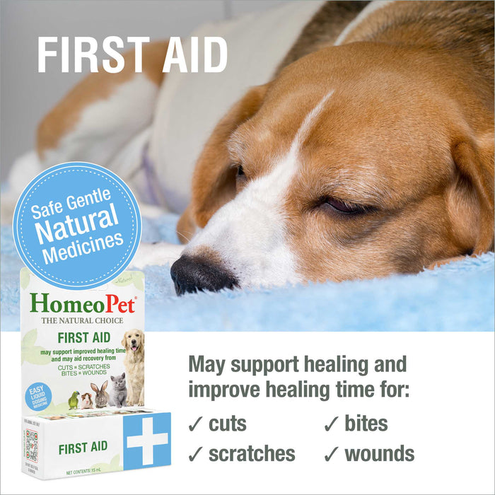 FIRST AID