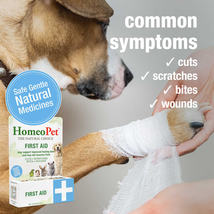 FIRST AID