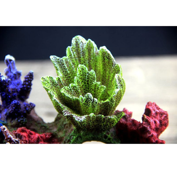 Colorful fish tank decoration by dealonline.co.nz, featuring vibrant underwater-themed ornament for aquariums.