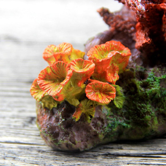 Colorful fish tank decoration from dealonlinenz, featuring vibrant underwater-themed ornament for aquariums.
