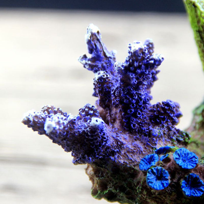 Colorful fish tank decoration with coral and ocean-themed elements from dealonline.co.nz, suitable for freshwater and saltwater aquariums.