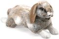 Folkmanis Holland Lop Eared Rabbit Hand Puppet (Pre-Order) - Little Whispers