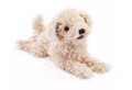 Folkmanis White Poodle Puppy