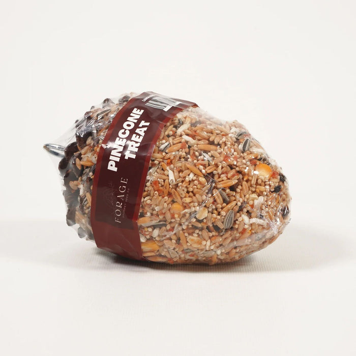 FORAGE GOURMET PINECONE TREAT LGE