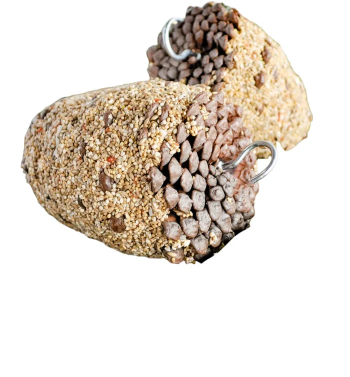 FORAGE GOURMET PINECONE TREAT LGE