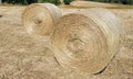 HAY ROUND 5FT NATIVE GRASS