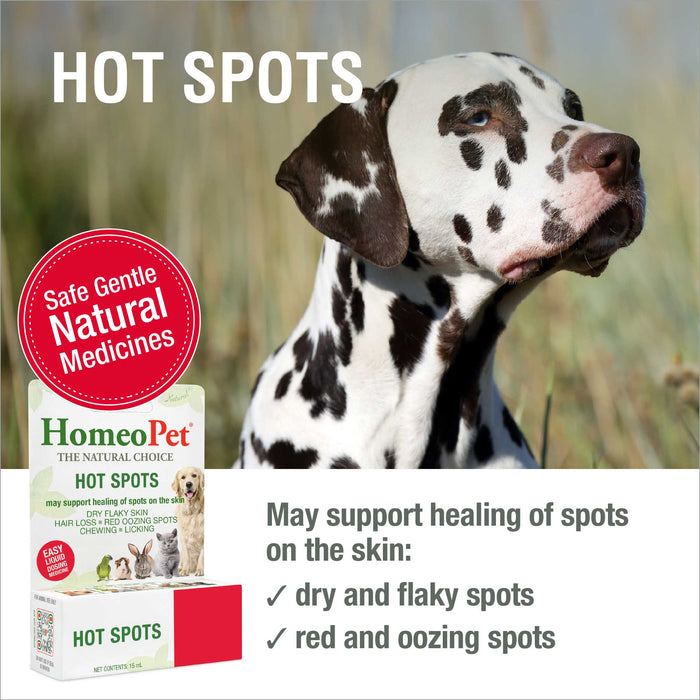HOT SPOTS