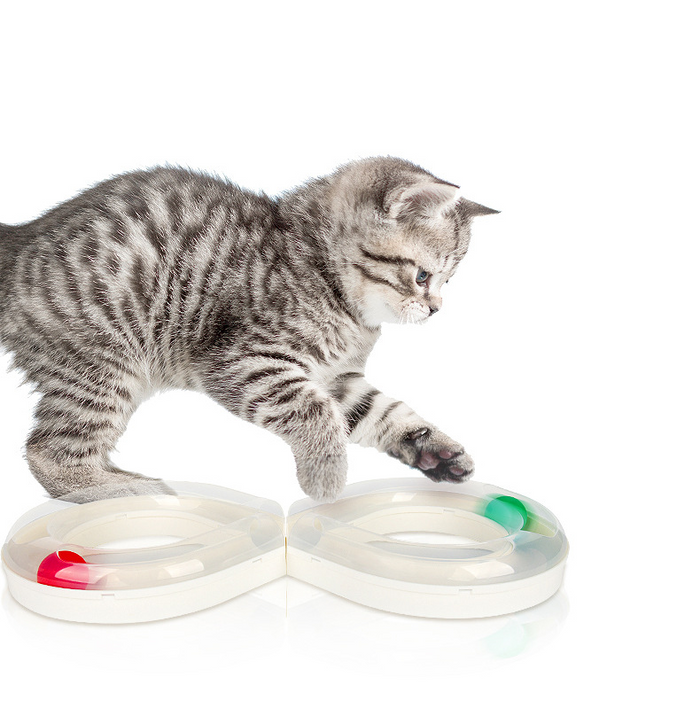 Colorful infinity ball track for cats by dealonline.co.nz, featuring a circular track with a rolling ball for feline play and exercise.
