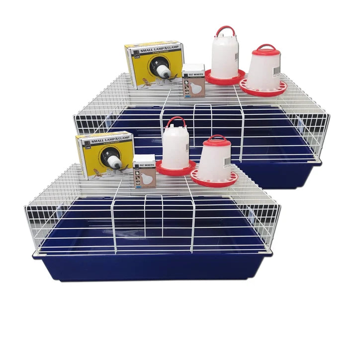 IPETZ SMALL CHICKEN STARTER KIT