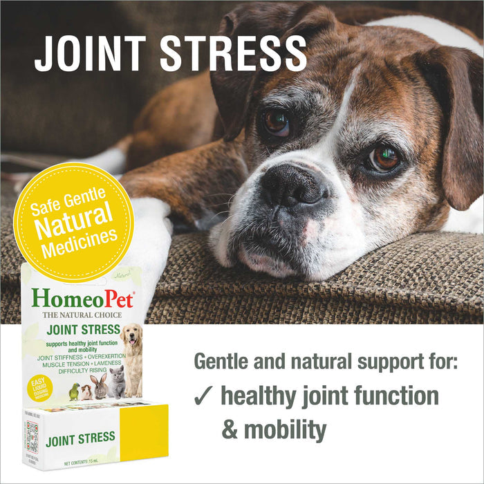 JOINT STRESS