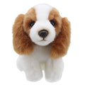 King Charles Spaniel Soft Toy - Little Whispers