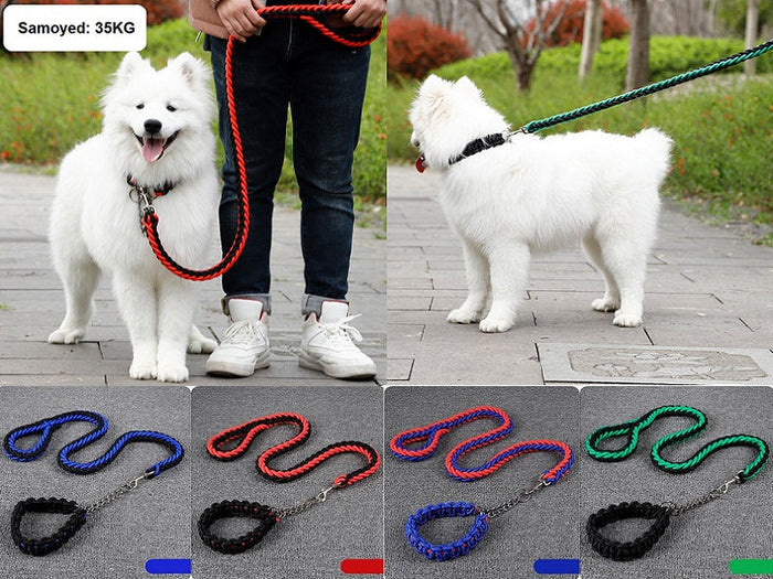 Large blue and red strong dog leash made of climbing rope, ideal for training and outdoor walks, by dealonline.co.nz.