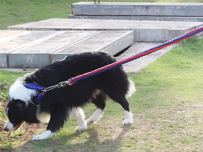 Large blue and red strong climbing rope dog leash from dealonline.co.nz, durable pet training leash with threaded design.