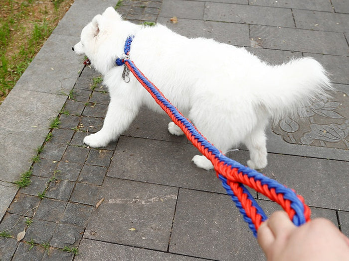 Large blue and red climbing rope dog leash by dealonline.co.nz, sturdy threaded pet training leash for strong dogs.