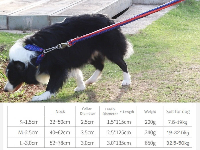 Large blue and red strong dog leash made of climbing rope, threaded design for pet training and outdoor walks.