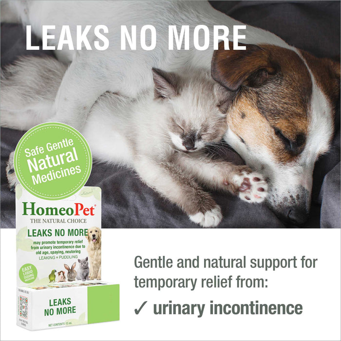 LEAKS NO MORE