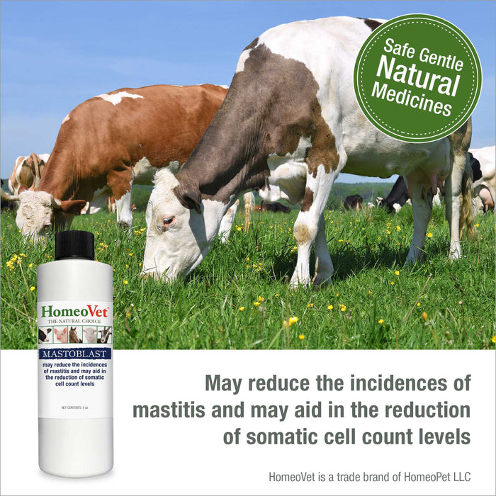MASTOBLAST