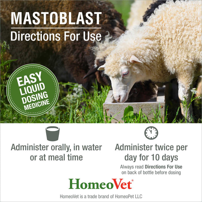 MASTOBLAST