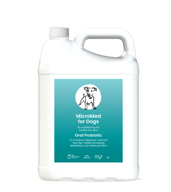 MicroMed for Dogs Care ongoing health and wellness solution in a 500ml bottle, designed for everyday pet health support
