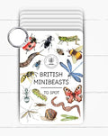 Minibeasts Flash Cards