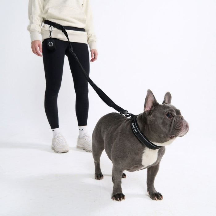 Multipurpose Seatbelt Handsfree Leash & Poop Bag Holder Set - Black