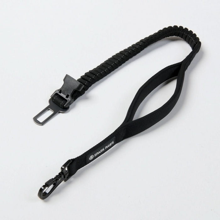 Multipurpose Seatbelt Handsfree Leash & Poop Bag Holder Set - Black