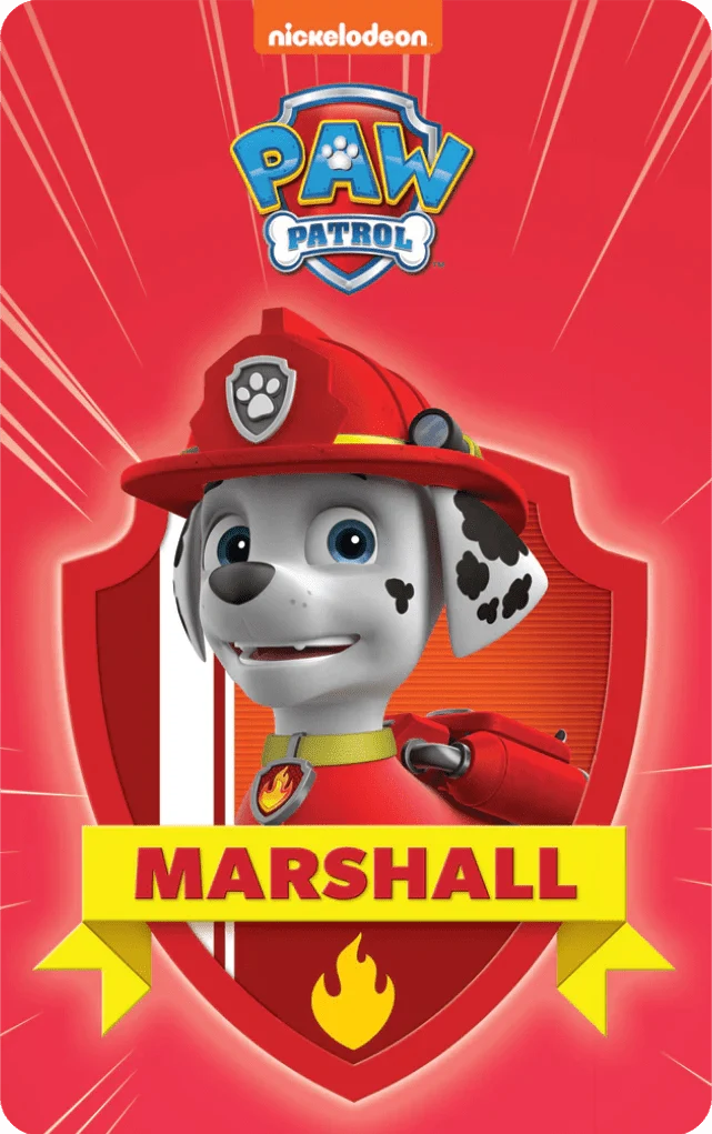 Paw Patrol Pup Pack (6 Cards) Audio Card - Little Whispers