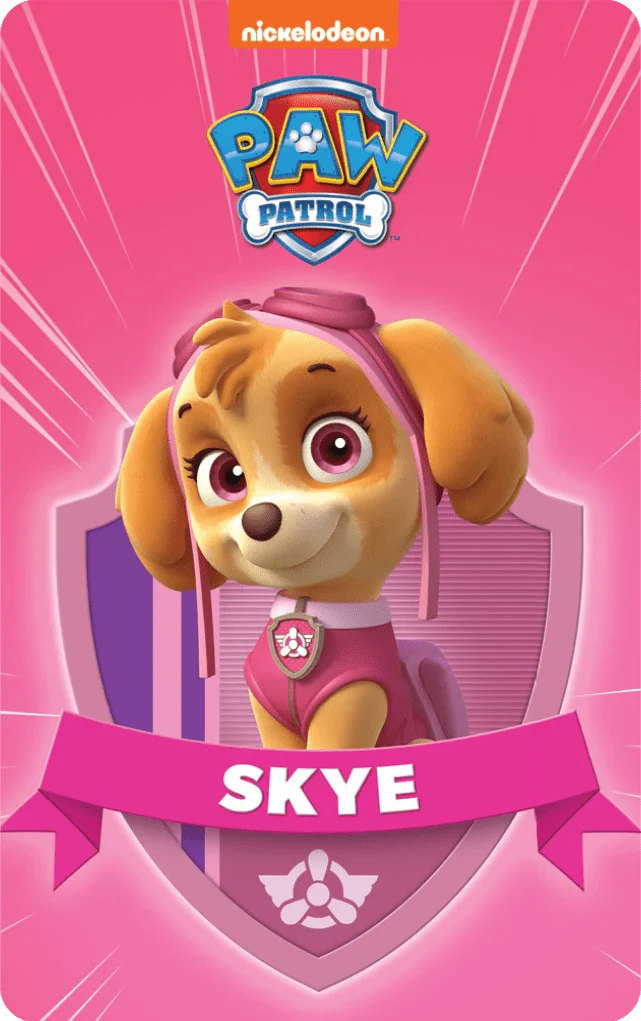 Paw Patrol Pup Pack (6 Cards) Audio Card - Little Whispers