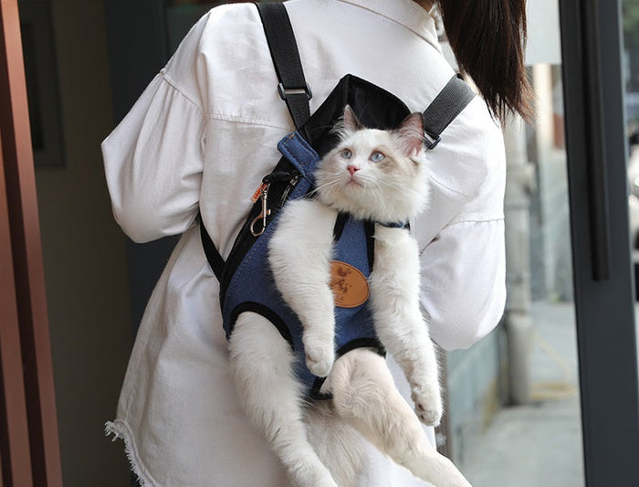 Blue Pet Travel Carry Bag for puppies by dealonlinenz, with mesh sides and sturdy handles for easy transport.
