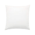 Pillow Insert 20" x 20"