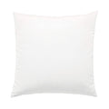 Pillow Insert 22" x 22"