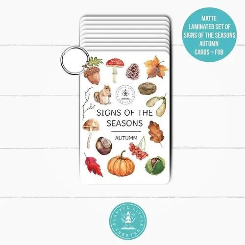PLR Flash Cards, Autumn Signs - Explorer - Little Whispers
