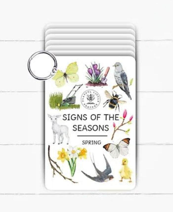 PLR Flash Cards, Spring Signs - Explorer