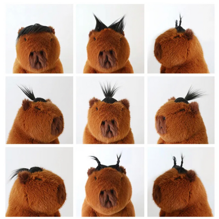PlushyFriends Funny Capybara Plushies 25CM 35CM
