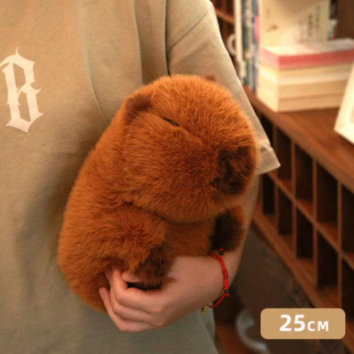 PlushyFriends Funny Capybara Plushies 25CM 35CM