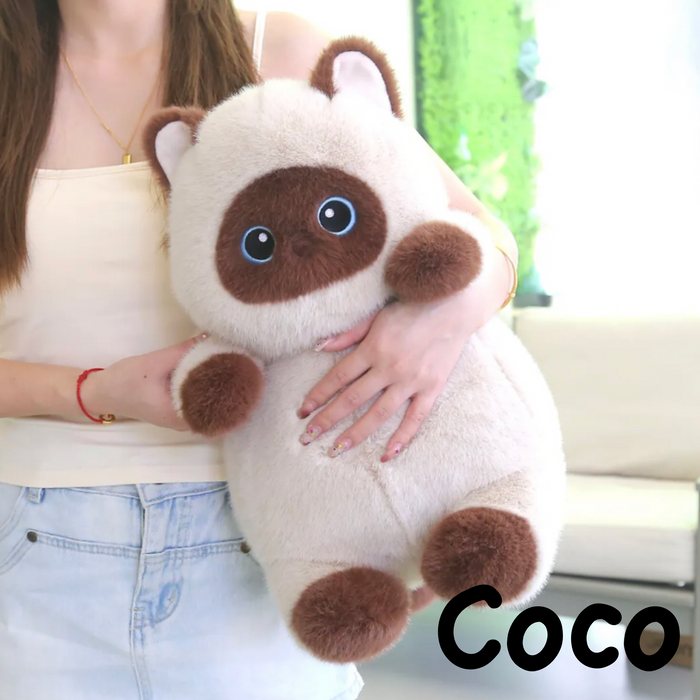 PlushyFriends Kawaii Cat Plushies  - Brown Coco 35CM