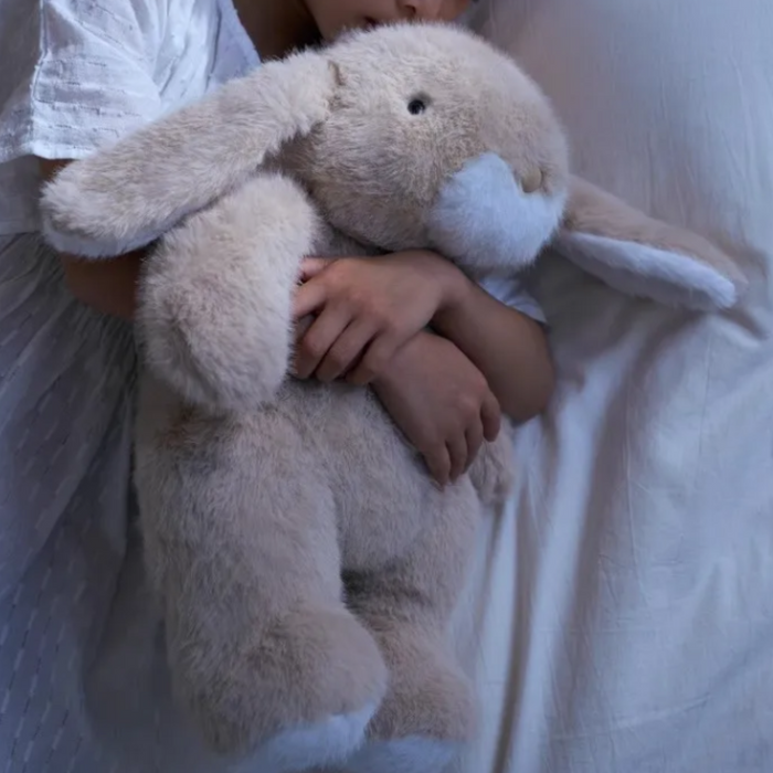 PlushyFriends Soft Bunny Plush Toy – 40cm