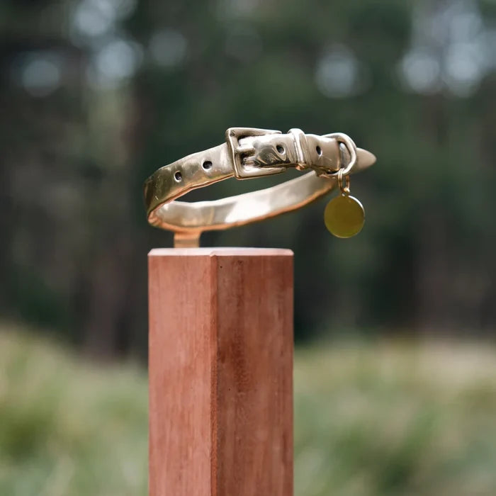 RBM BROZE DOG COLLAR MEMORIAL ON POST - COLLAR ONLY
