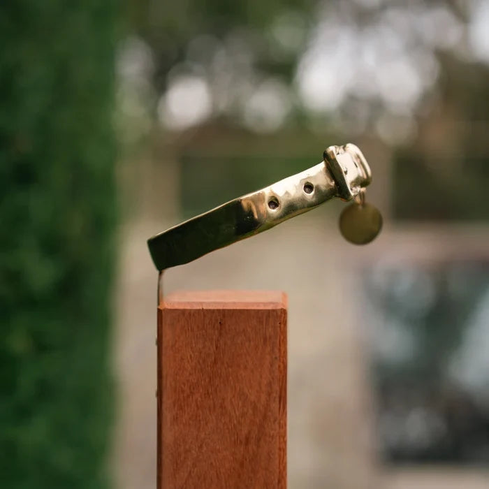 RBM BROZE DOG COLLAR MEMORIAL ON POST - COLLAR ONLY