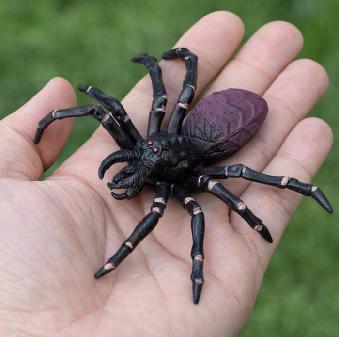 Realistic Tarantula Toy on a Hand