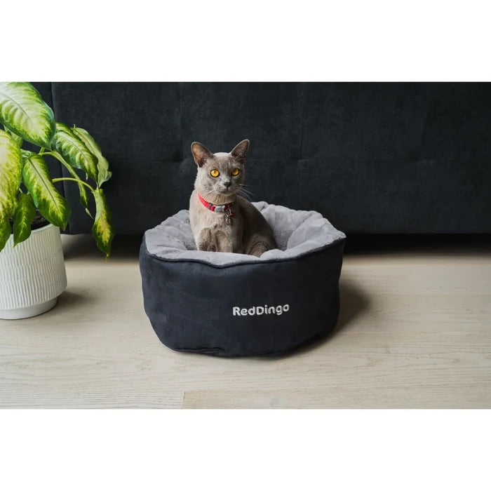 RED DINGO CAT BED BLACK