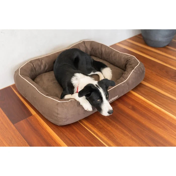RED DINGO DONUT BED CHOCOLATE SML