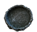 Reptile Rock Food Dish image 0