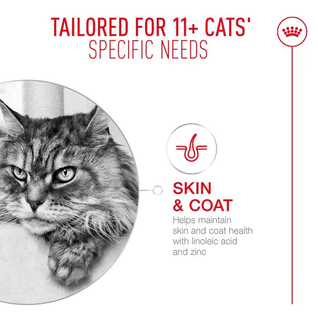 ROYAL CANIN CAT AGEING 11+ 2KG