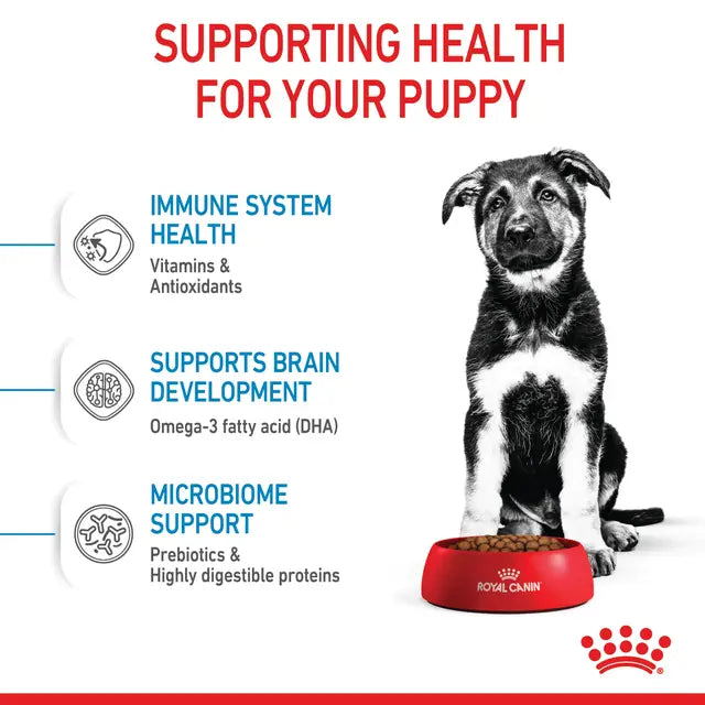 ROYAL CANIN PUPPY MAXI 4KG