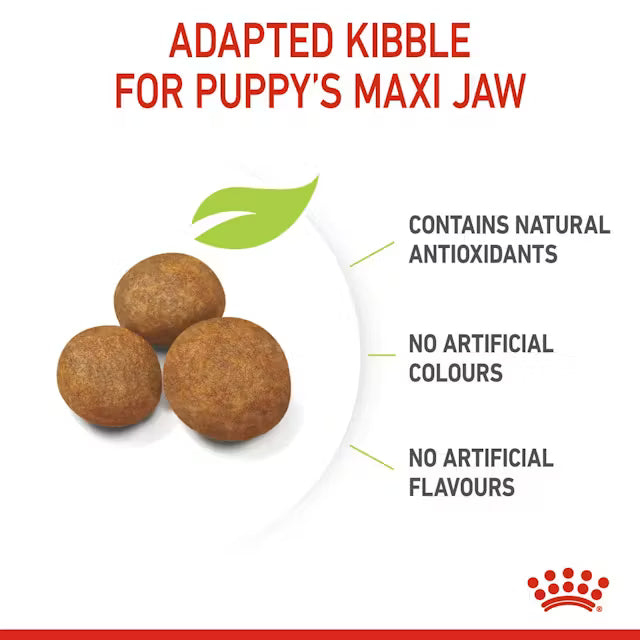 ROYAL CANIN PUPPY MAXI 4KG