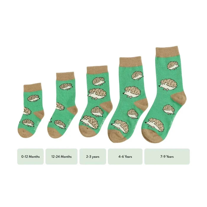 Barekind NZ bamboo socks for kids featuring hedgehog design, suitable for ages 0-12 months, soft and eco-friendly.